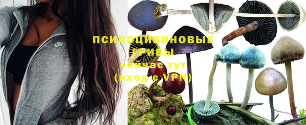 ALPHA PVP Вязники