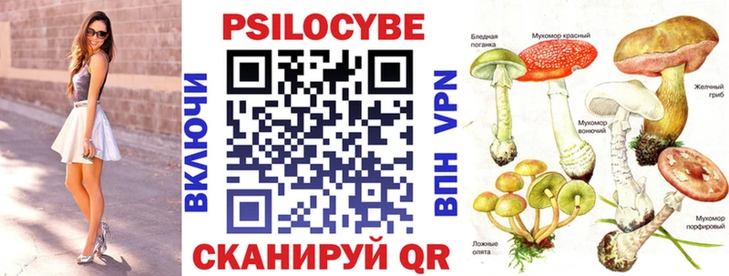 Галлюциногенные грибы прущие грибы  Купить  Одинцово 